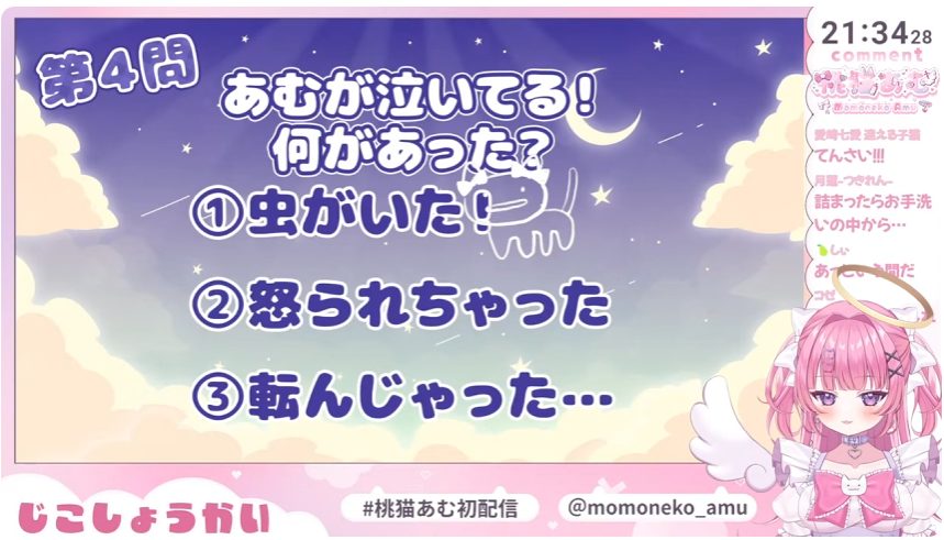 「桃猫あむ」の苦手なもの